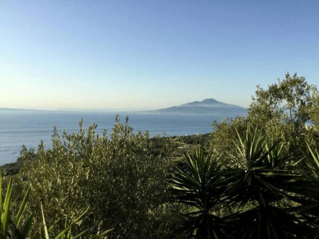 Un Paradiso A Sorrento Con Piscina 마사루브렌세 외부 사진